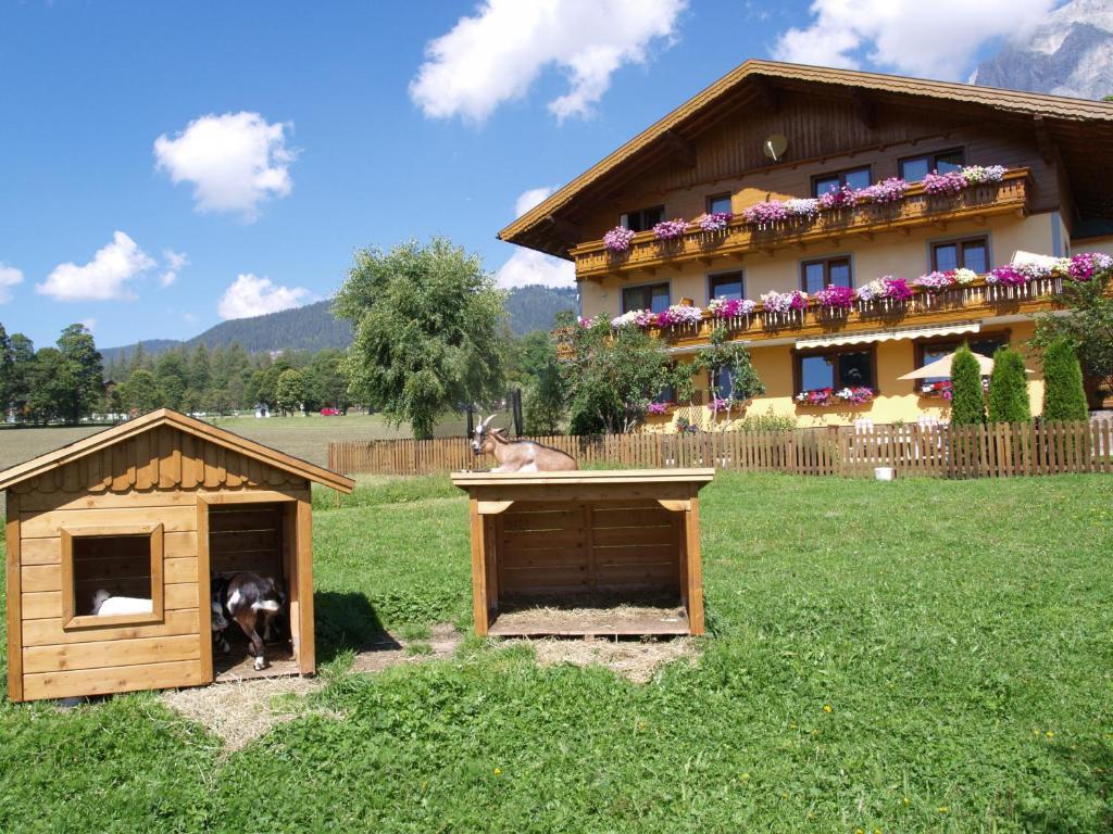 Ferienwohnung Alpenecho Ramsau am Dachstein Dış mekan fotoğraf